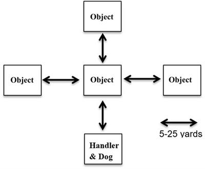 Environmental and Physiological Factors Associated With Stamina in Dogs Exercising in High Ambient Temperatures